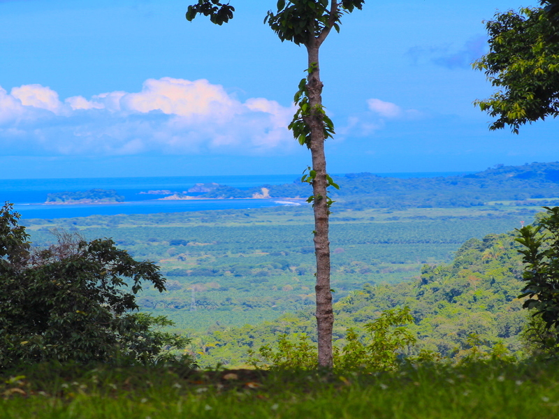 0 bed Land For Sale in Matapalo, Puntarenas - 1