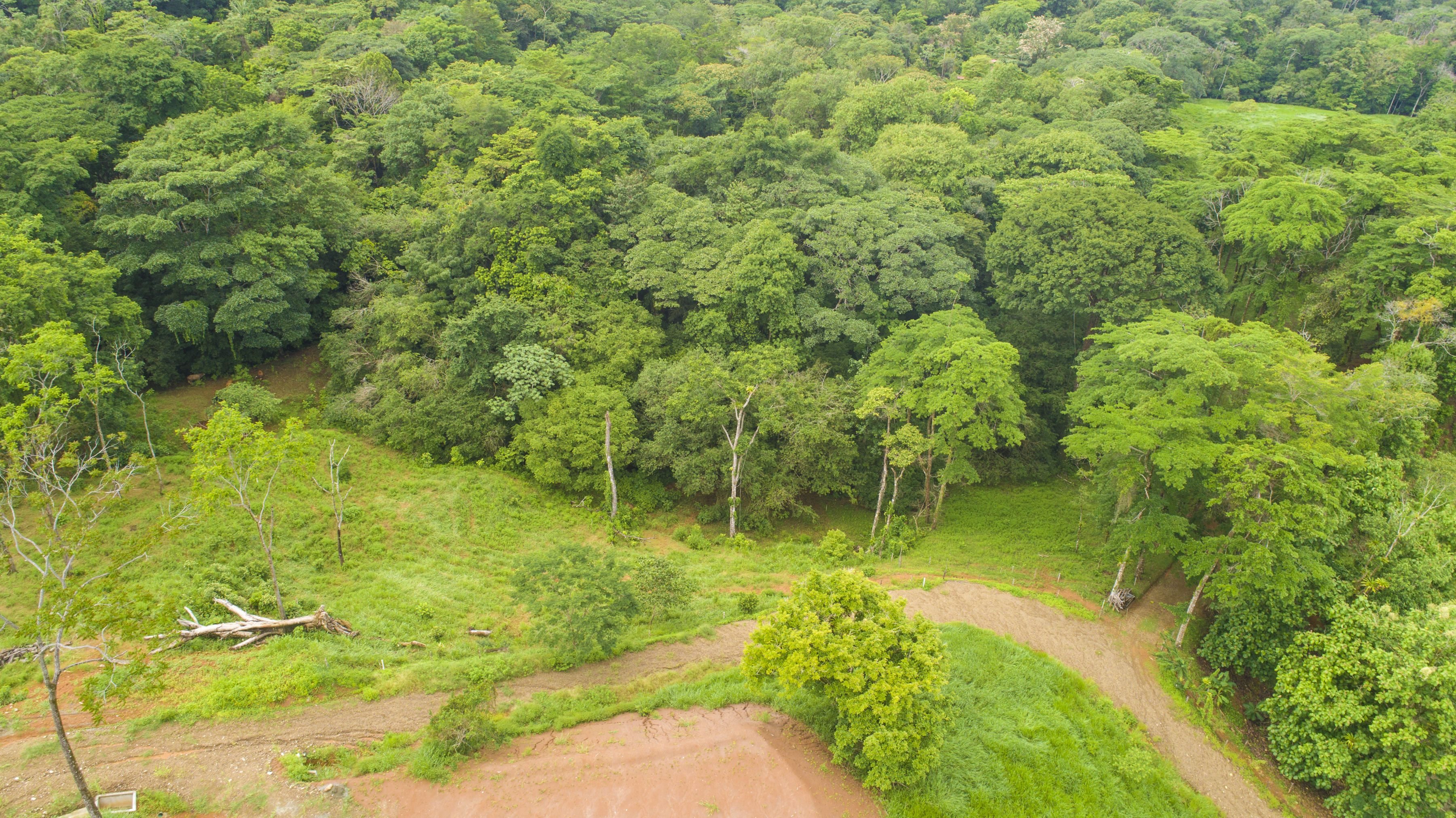 0 bed Land For Sale in Uvita, Puntarenas - thumb 16