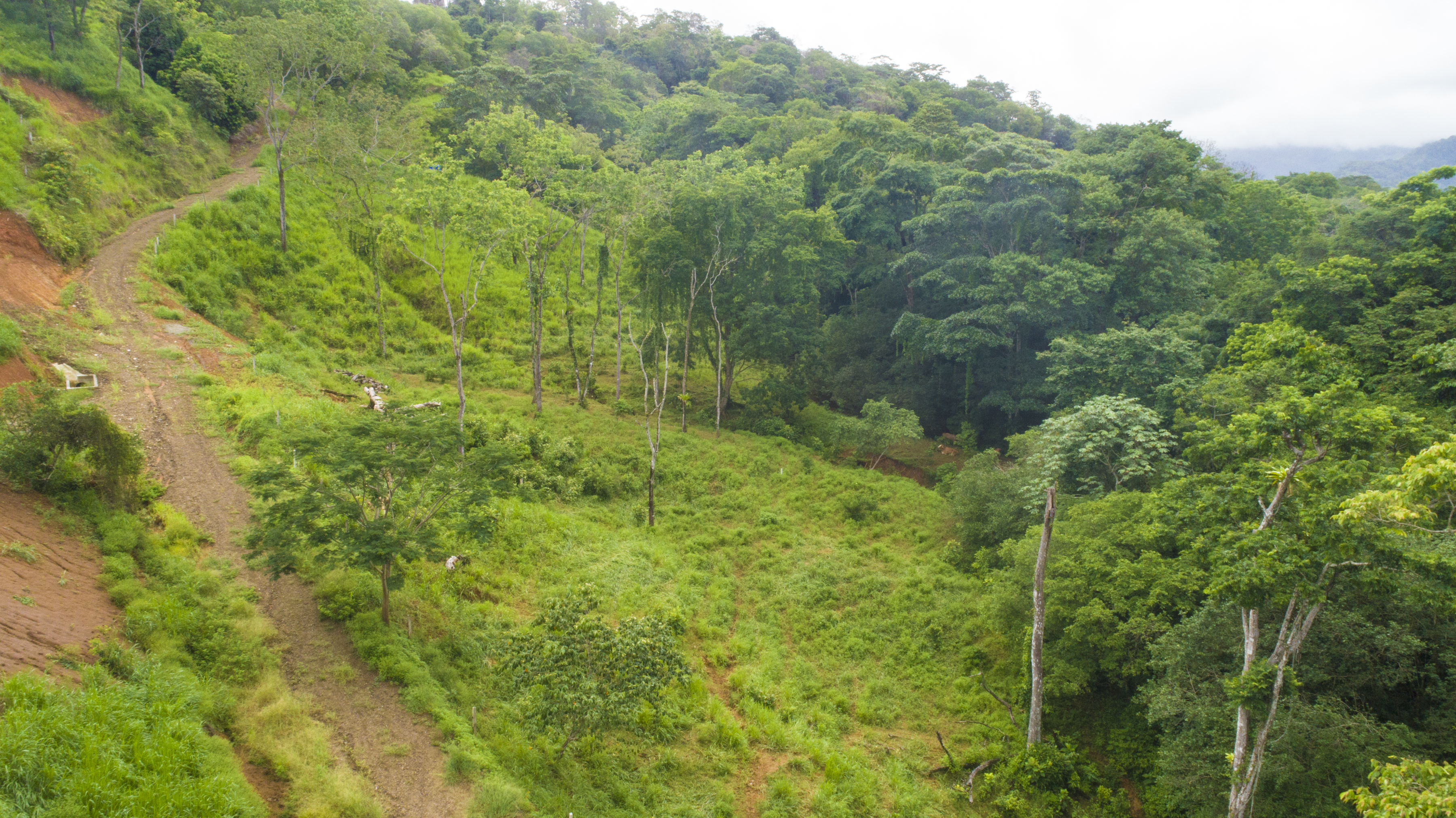 0 bed Land For Sale in Uvita, Puntarenas - thumb 22