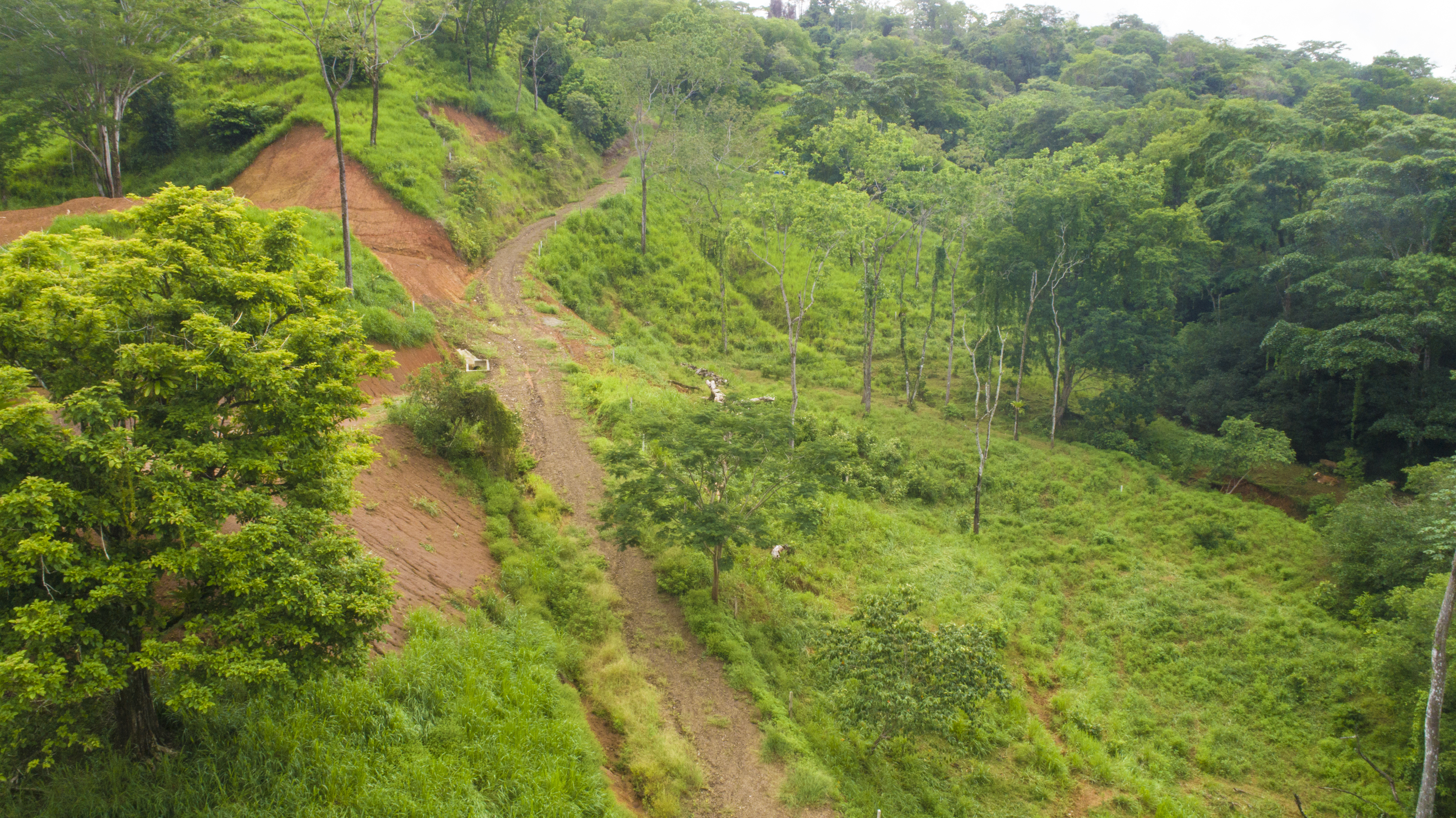 0 bed Land For Sale in Uvita, Puntarenas - thumb 24