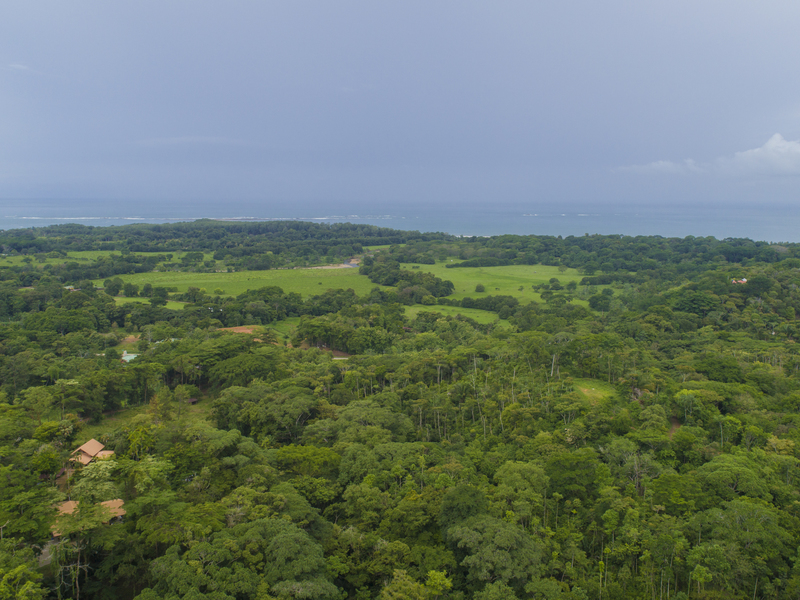 0 bed Land For Sale in Uvita, Puntarenas - 1