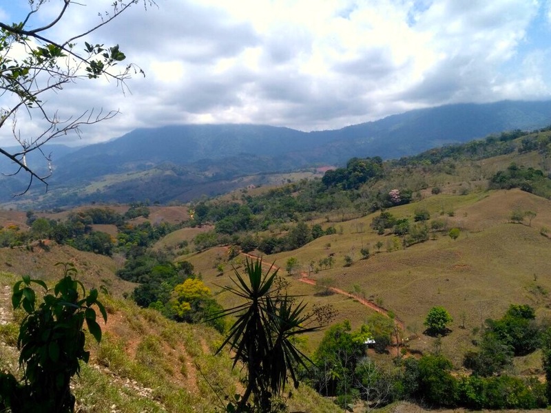 0 bed Land For Sale in Dominical, Puntarenas - 1