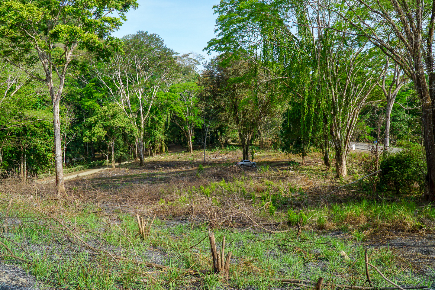 0 bed Land For Sale in Ojochal, Puntarenas - thumb 13