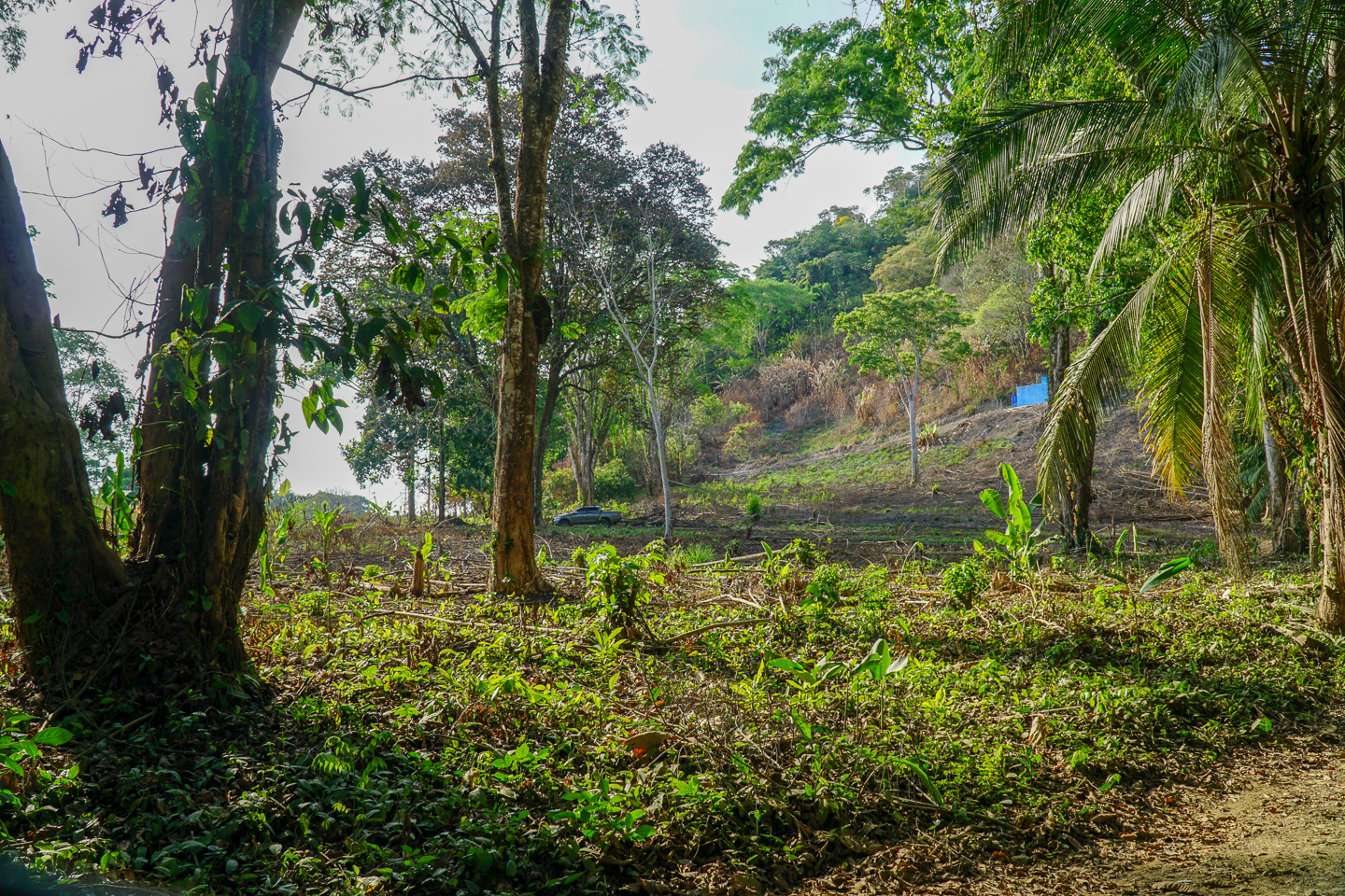 0 bed Land For Sale in Ojochal, Puntarenas - thumb 1