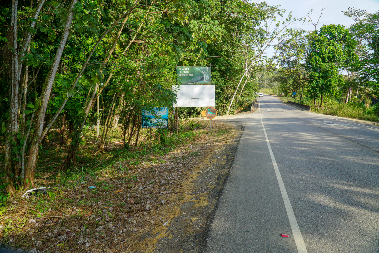 0 bed Land For Sale in Ojochal, Puntarenas - thumb 10