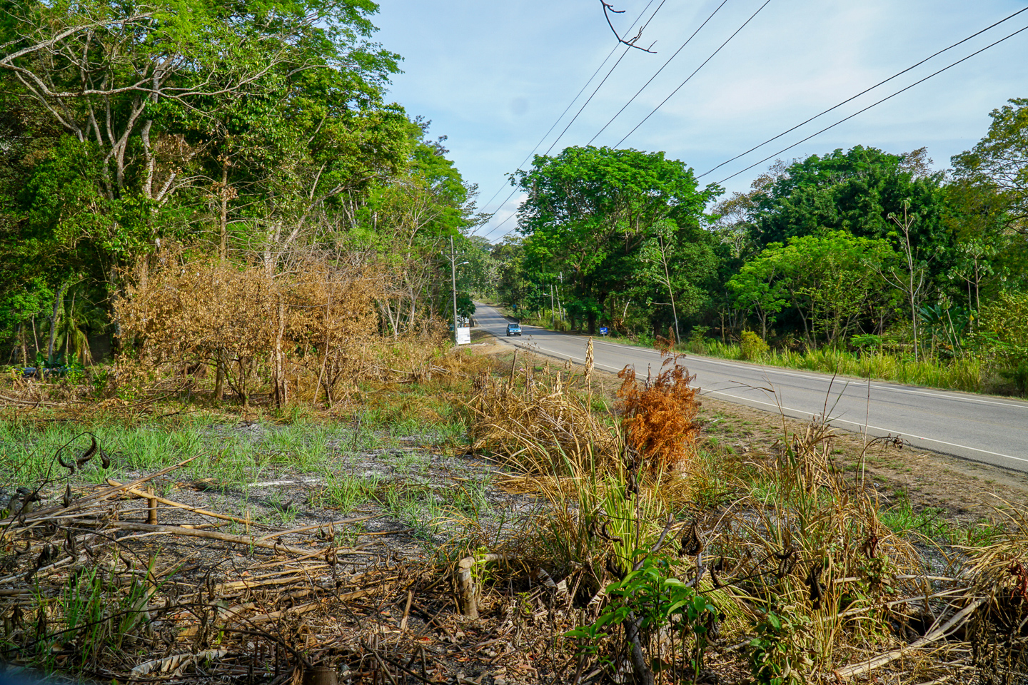 0 bed Land For Sale in Ojochal, Puntarenas - thumb 8