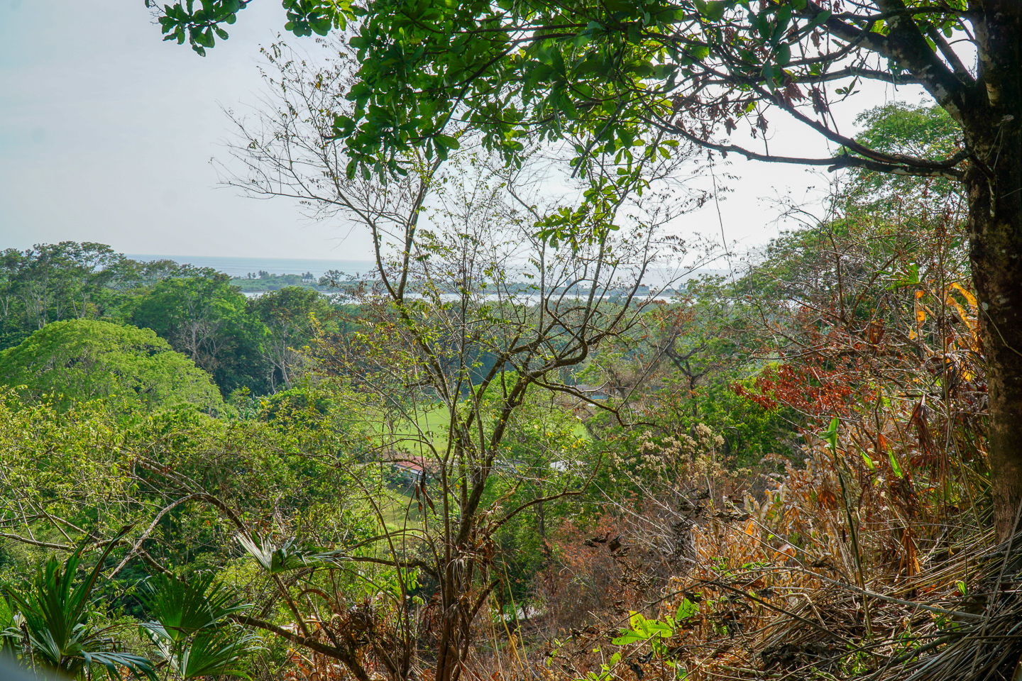 0 bed Land For Sale in Ojochal, Puntarenas - thumb 7