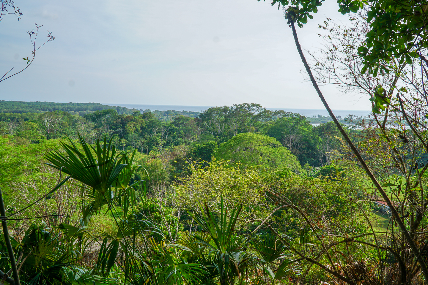 0 bed Land For Sale in Ojochal, Puntarenas - thumb 6