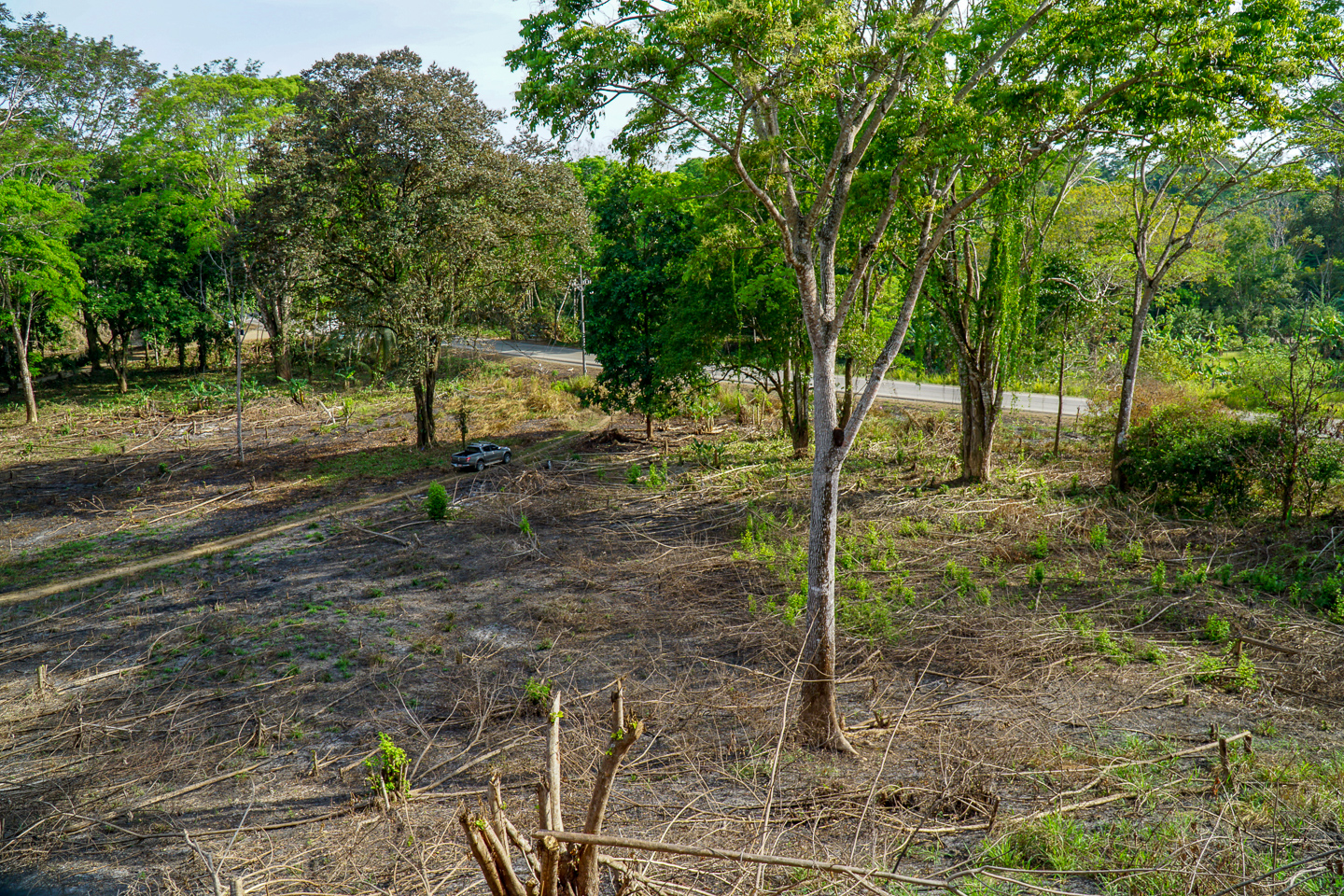 0 bed Land For Sale in Ojochal, Puntarenas - thumb 9