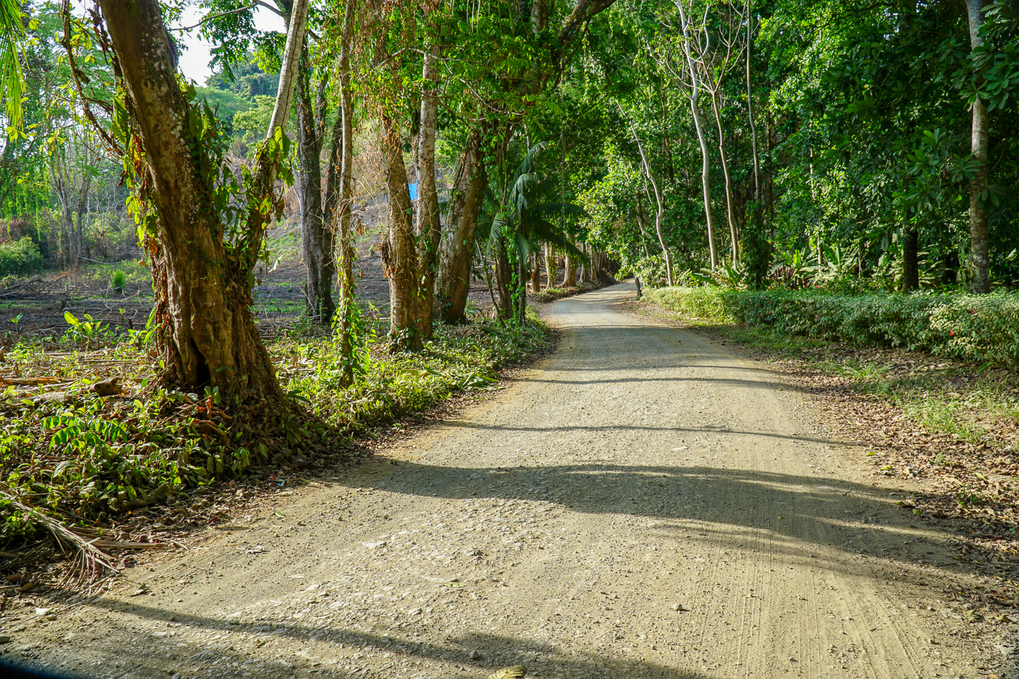 0 bed Land For Sale in Ojochal, Puntarenas - thumb 16