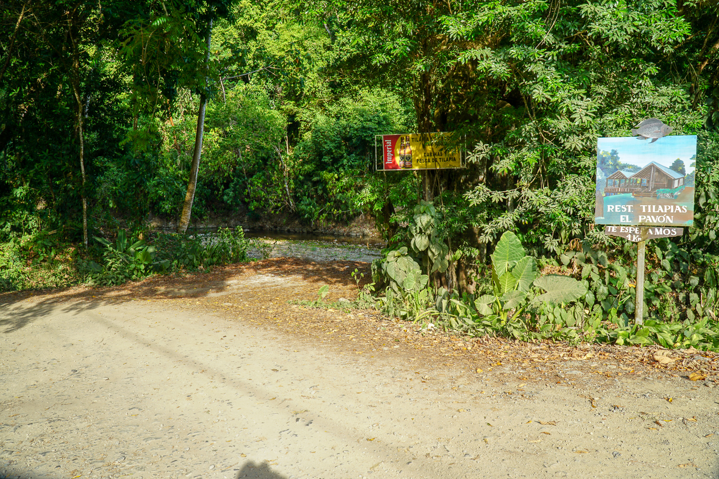 0 bed Land For Sale in Ojochal, Puntarenas - thumb 14