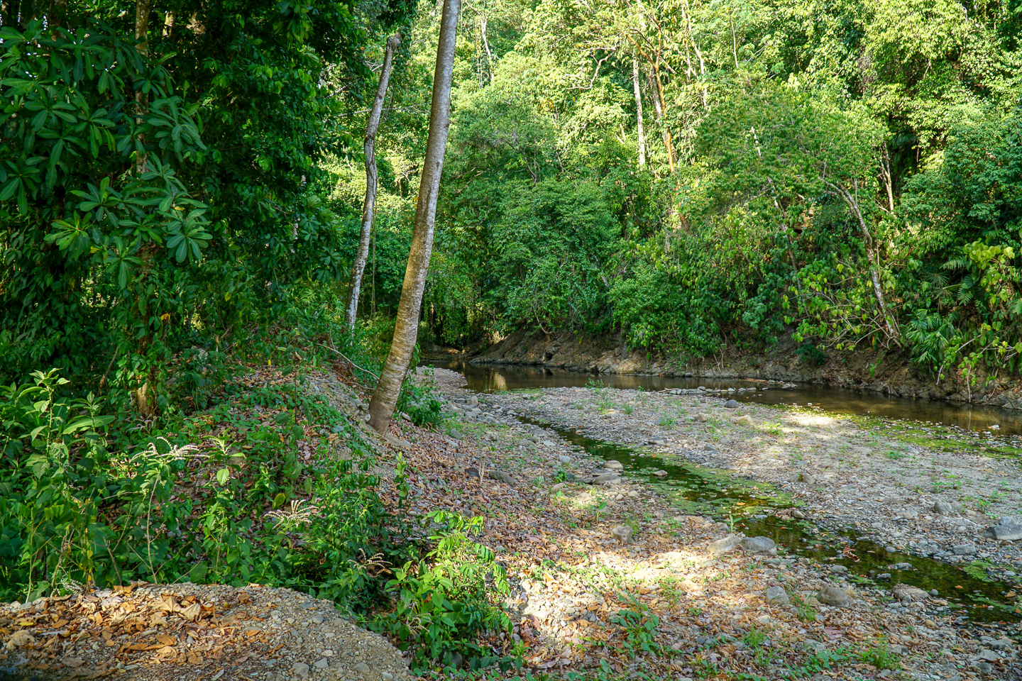0 bed Land For Sale in Ojochal, Puntarenas - thumb 15