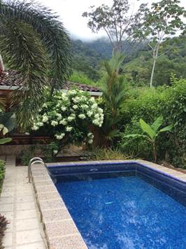 3 bed Single Family Homes For Sale in Ojochal, Puntarenas - thumb 4