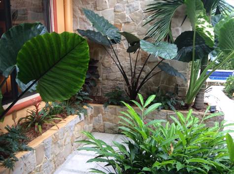 3 bed Single Family Homes For Sale in Ojochal, Puntarenas - thumb 23