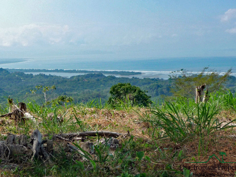 0 bed Land For Sale in Ojochal, Puntarenas - 1