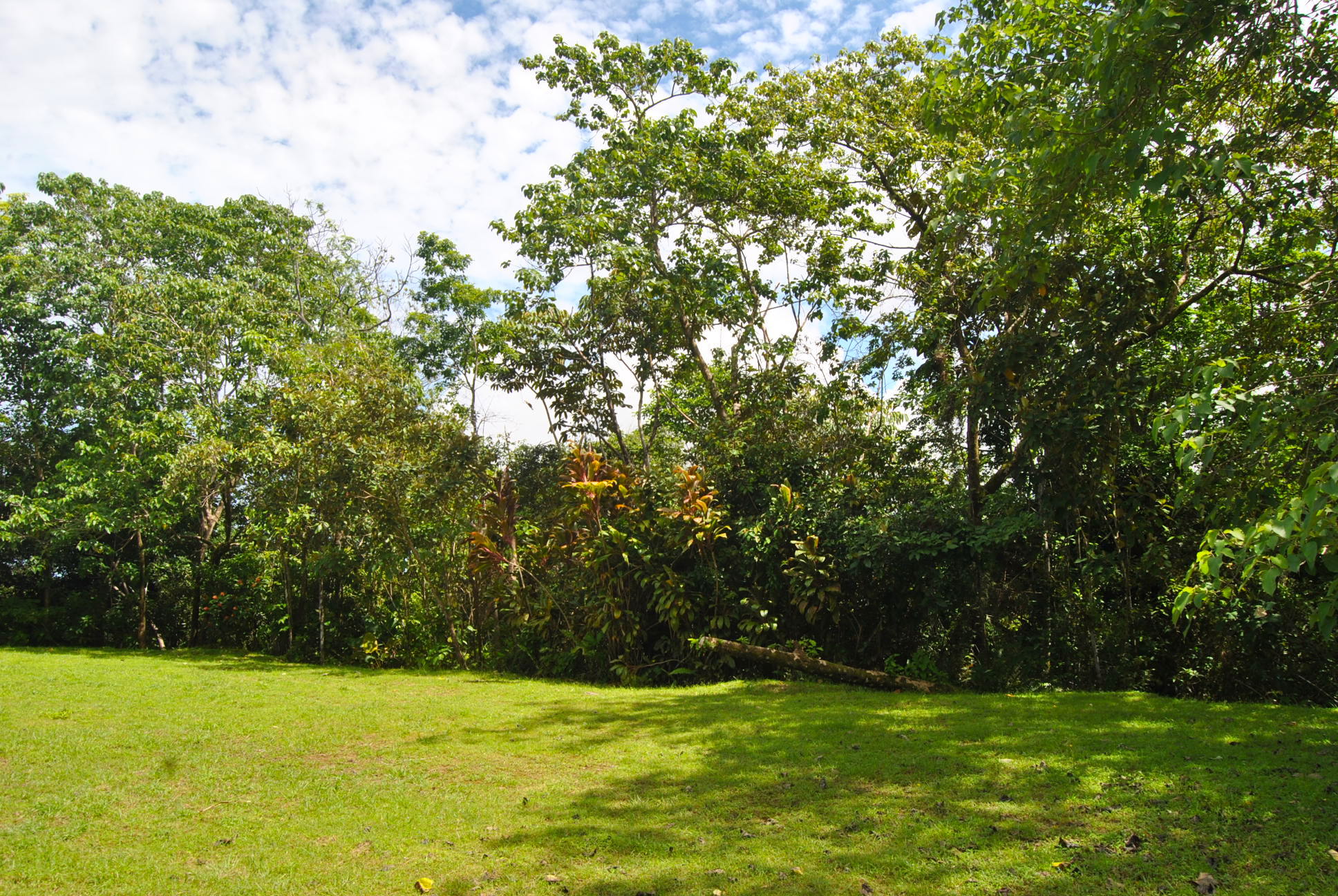 0 bed Land For Sale in Ciudad Cortes, Puntarenas - thumb 8