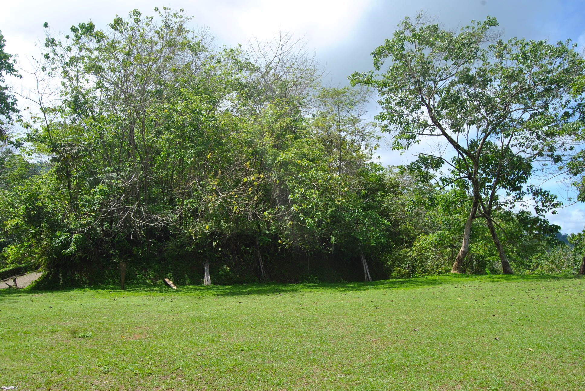 0 bed Land For Sale in Ciudad Cortes, Puntarenas - thumb 4