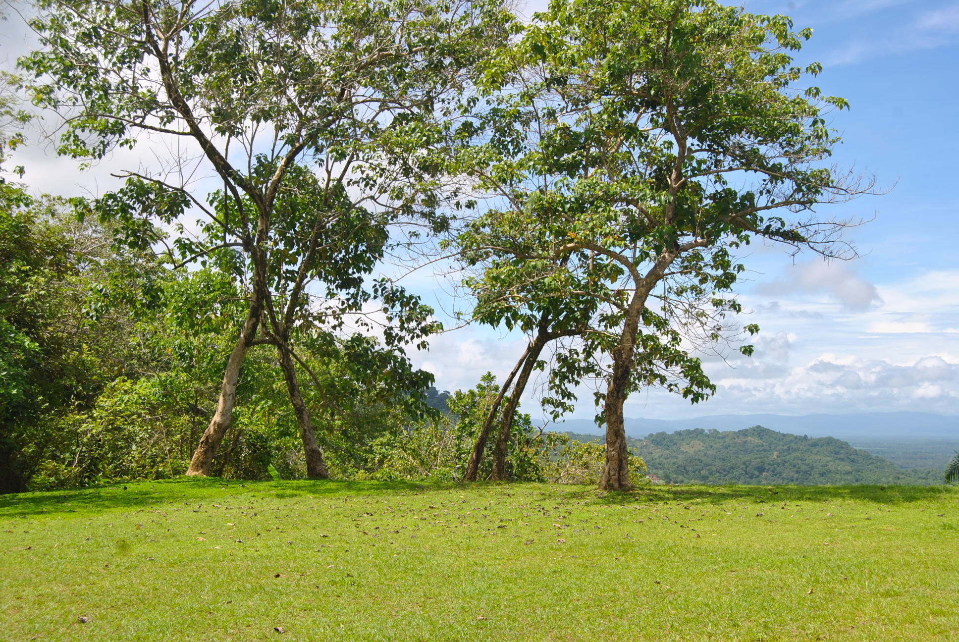 0 bed Land For Sale in Ciudad Cortes, Puntarenas - thumb 5