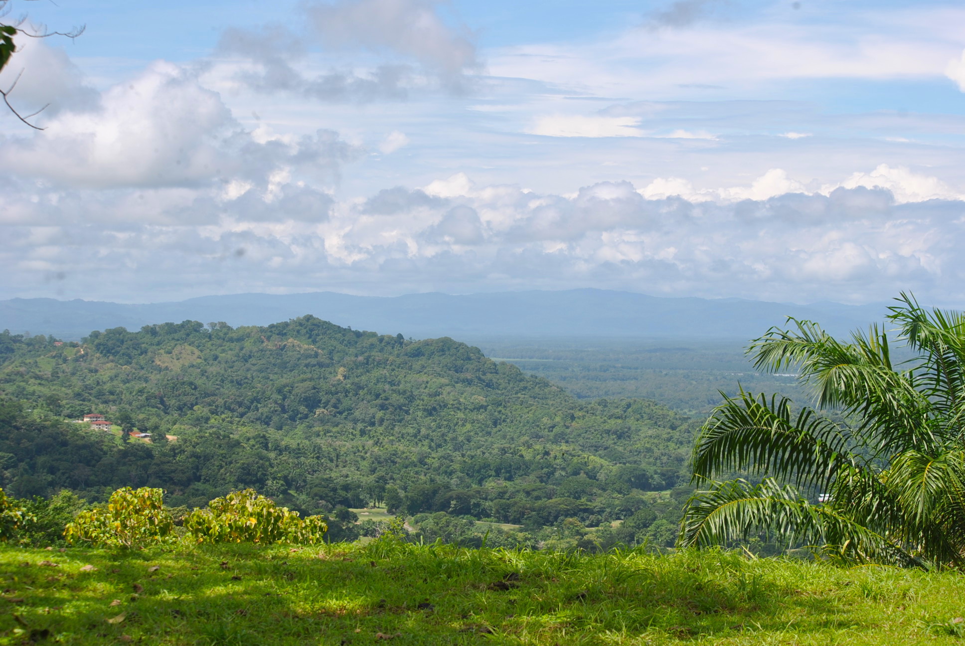 0 bed Land For Sale in Ciudad Cortes, Puntarenas - thumb 6