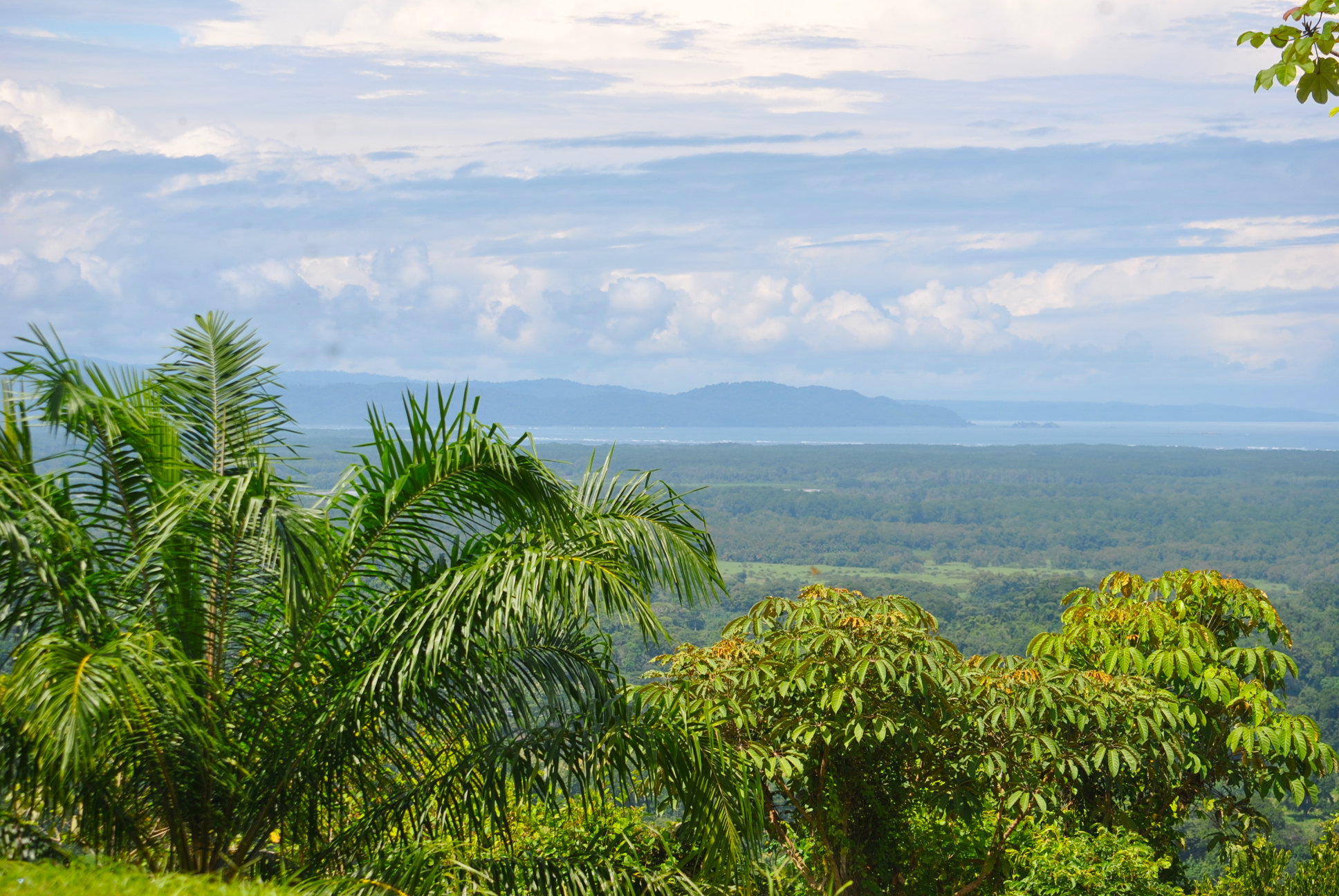 0 bed Land For Sale in Ciudad Cortes, Puntarenas - thumb 7