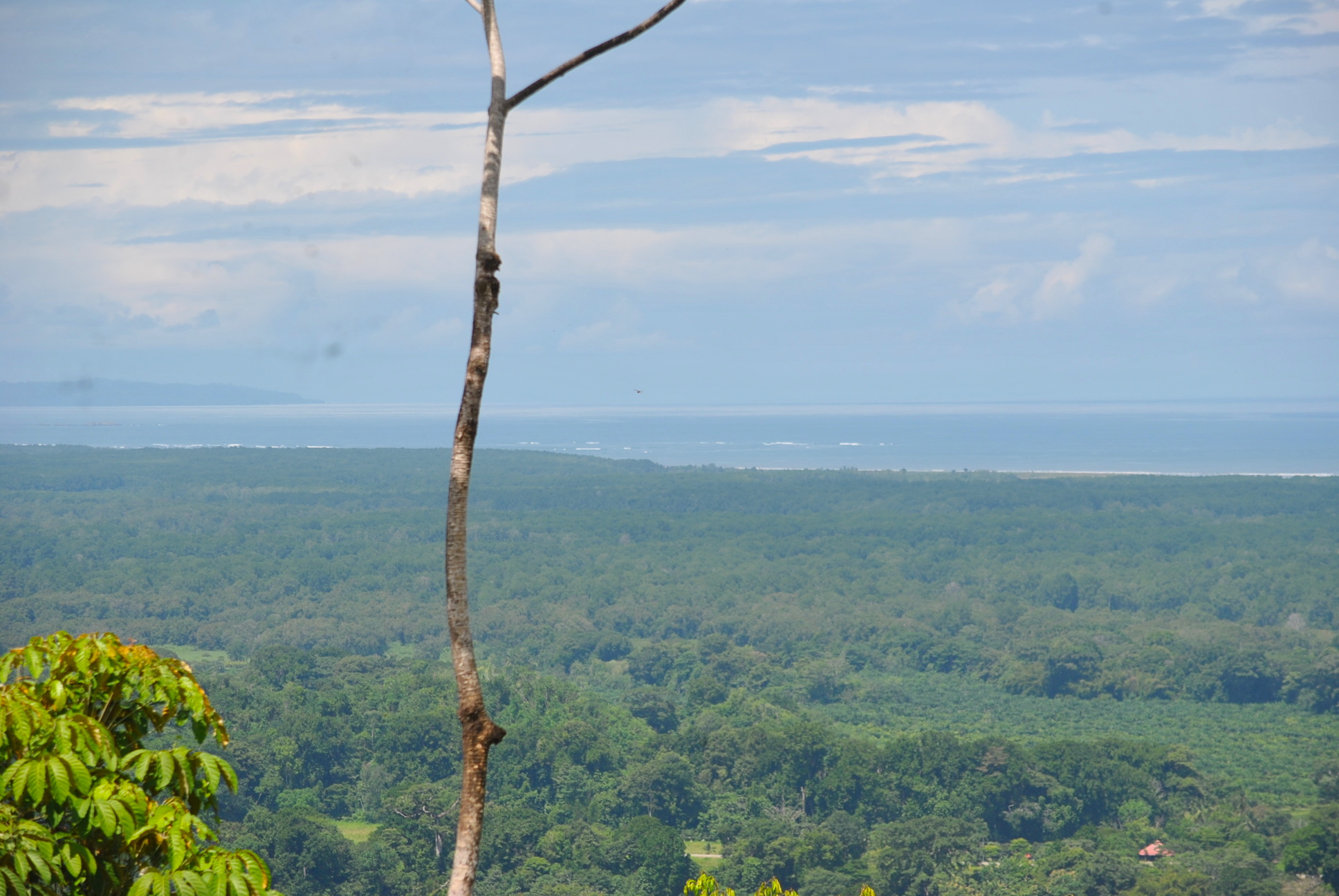 0 bed Land For Sale in Ciudad Cortes, Puntarenas - thumb 12