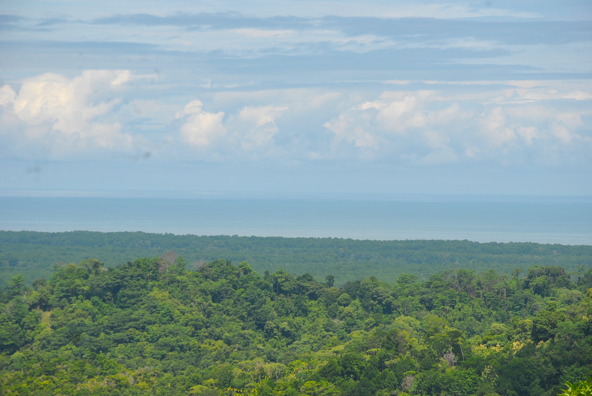 0 bed Land For Sale in Ciudad Cortes, Puntarenas - thumb 9