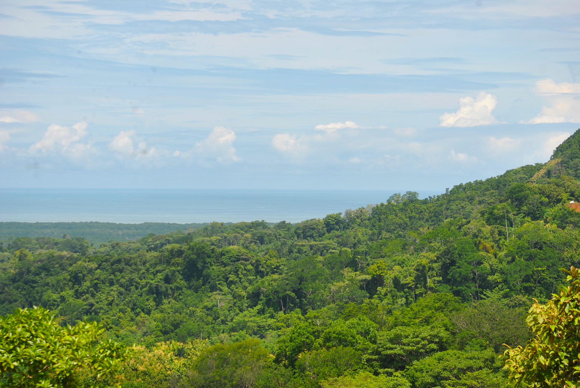 0 bed Land For Sale in Ciudad Cortes, Puntarenas - thumb 10