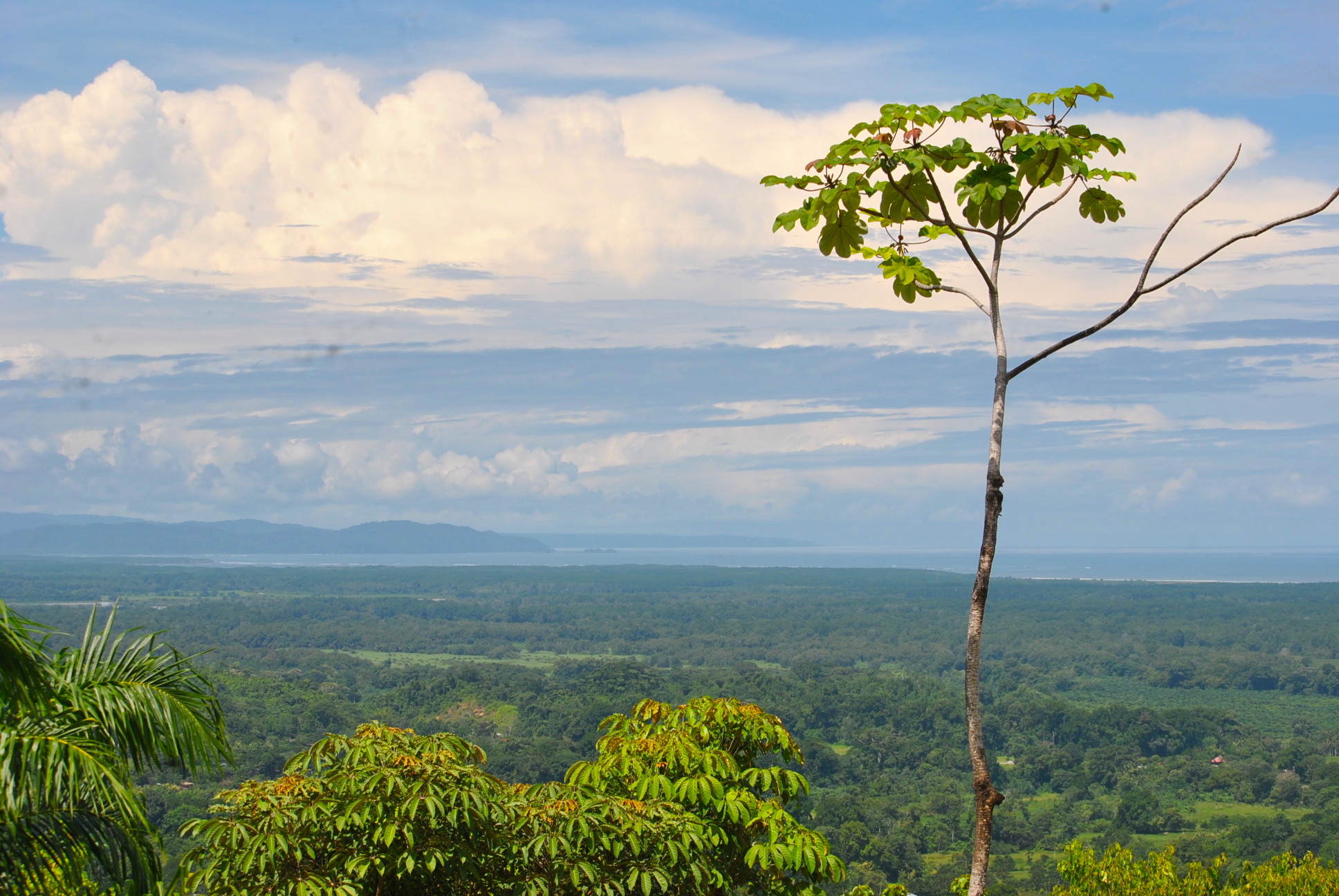 0 bed Land For Sale in Ciudad Cortes, Puntarenas - thumb 1