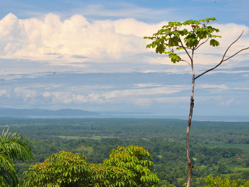 0 bed Land For Sale in Ciudad Cortes, Puntarenas - 1