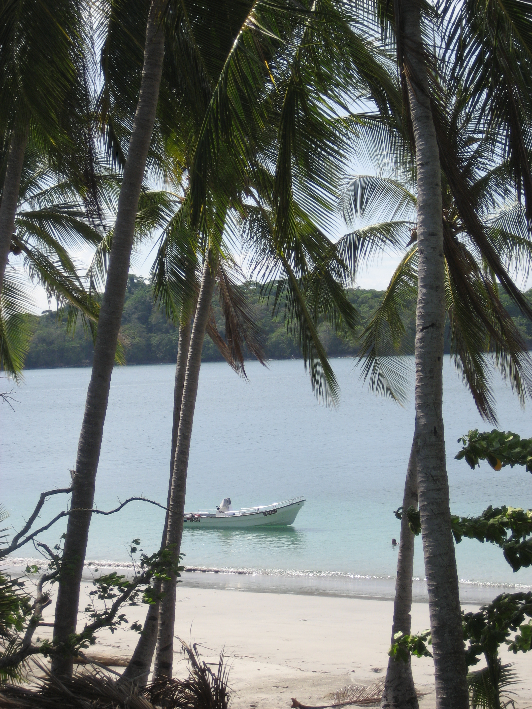 3 bed Single Family Homes For Sale in Panama City, Panama - thumb 11