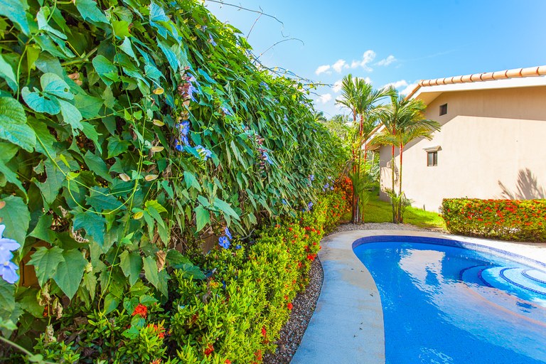3 bed Single Family Homes For Sale in Playa Flamingo, Guanacaste - thumb 20