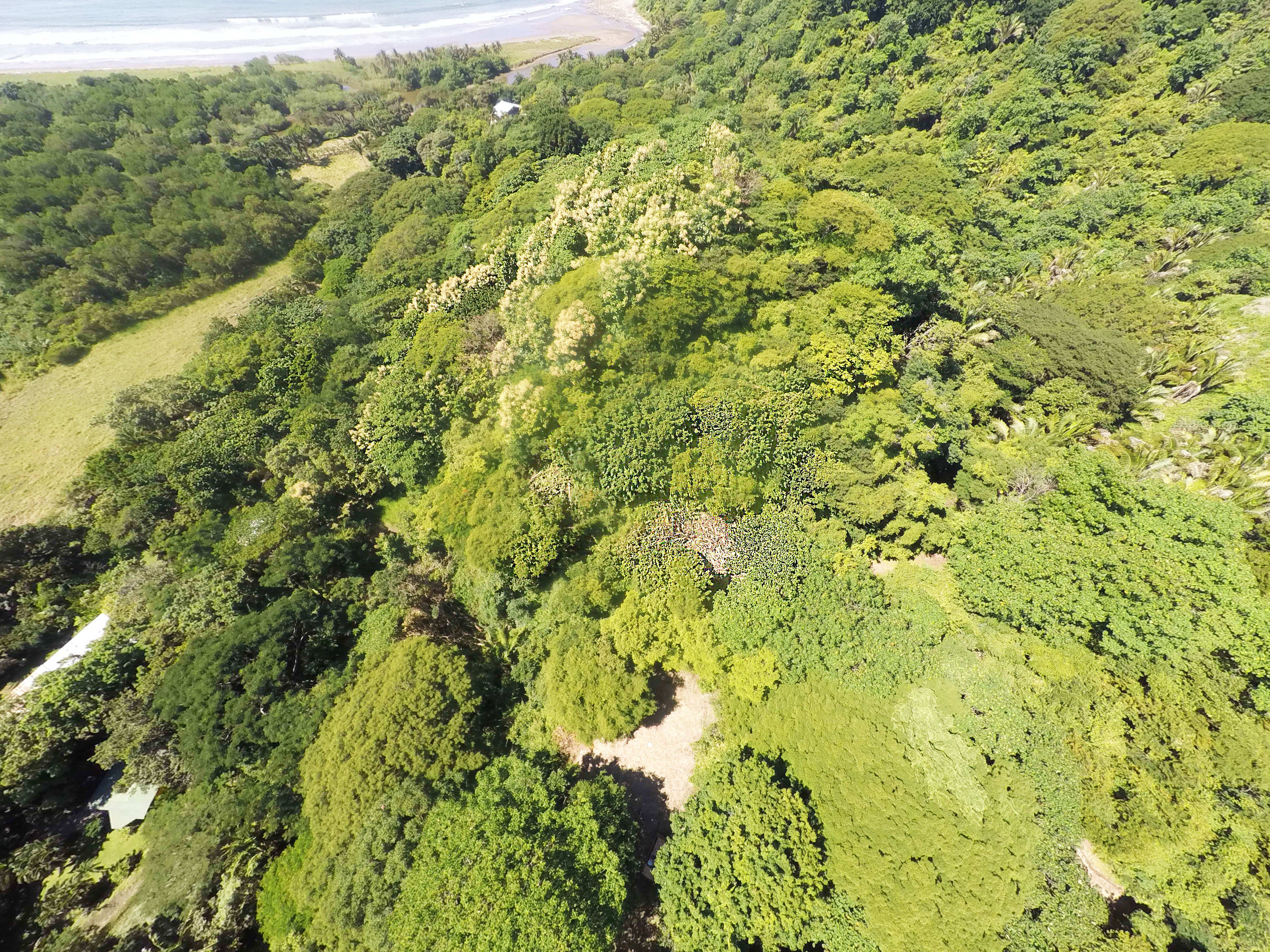 1 bed Land For Sale in Samara, Guanacaste - thumb 18