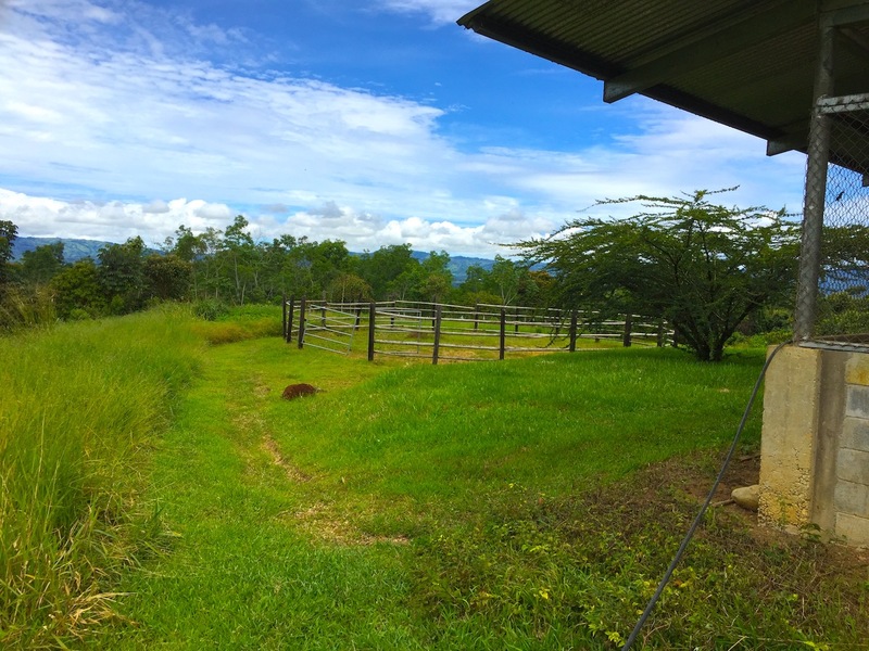 0 bed Land For Sale in Perez Zeledon, Puntarenas - 1