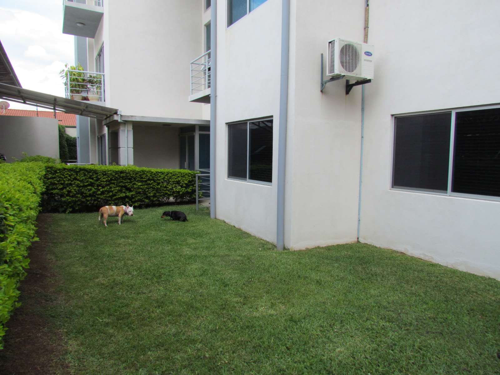 2 bed Apartment For Sale in Santa Ana, San Jose - thumb 13