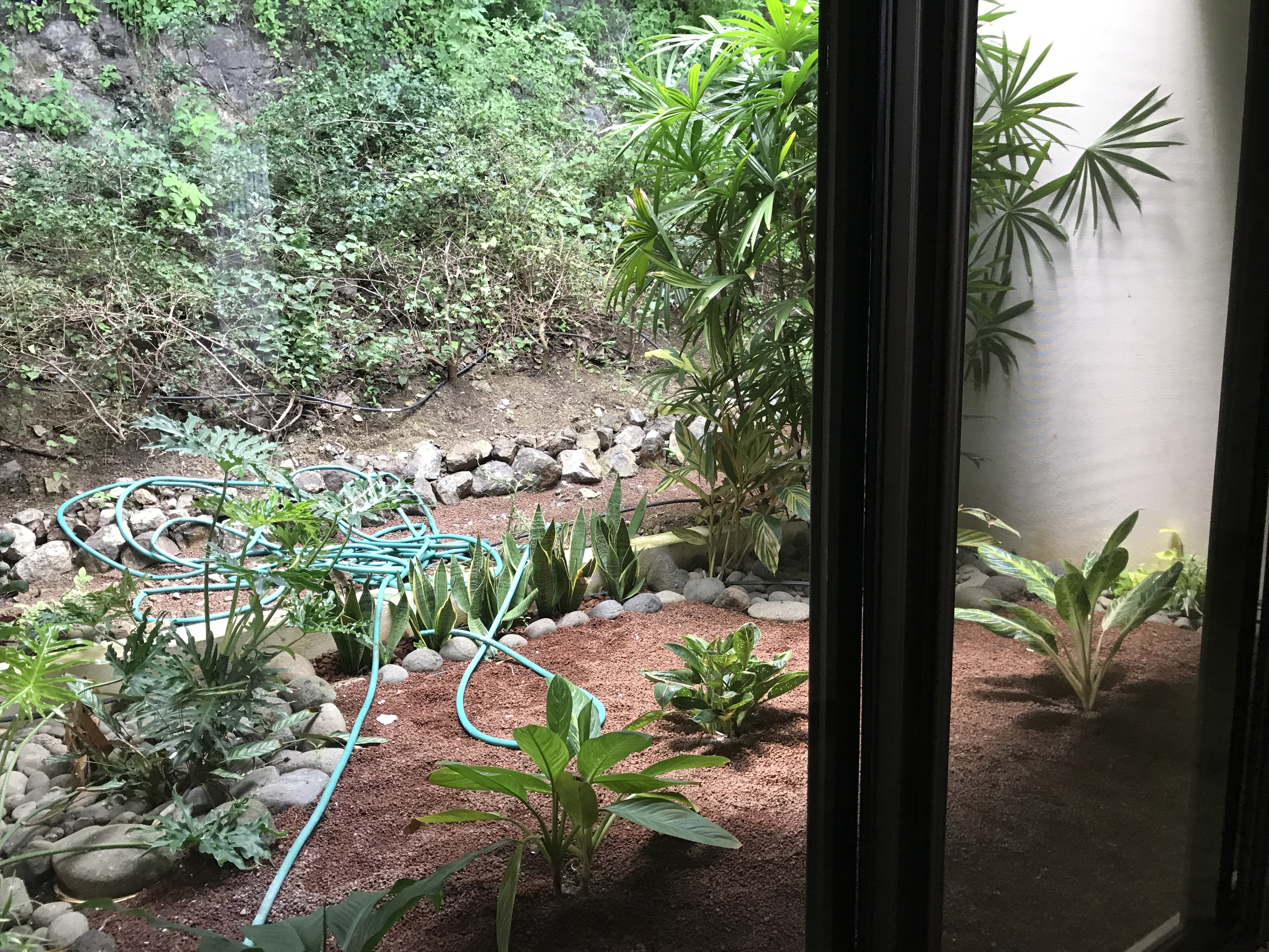 3 bed Single Family Homes For Sale in Hermosa, Guanacaste - thumb 25
