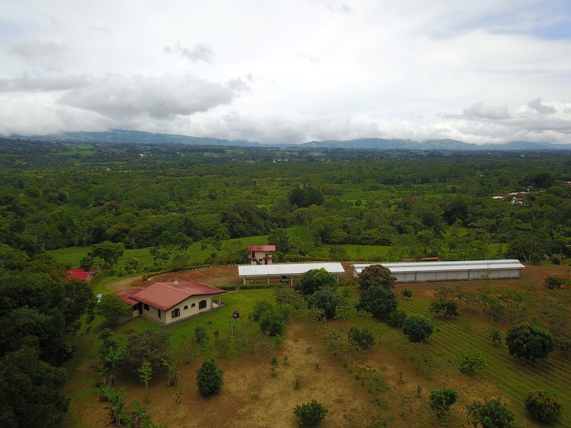3 bed Business For Sale in Perez Zeledon, Puntarenas - 1