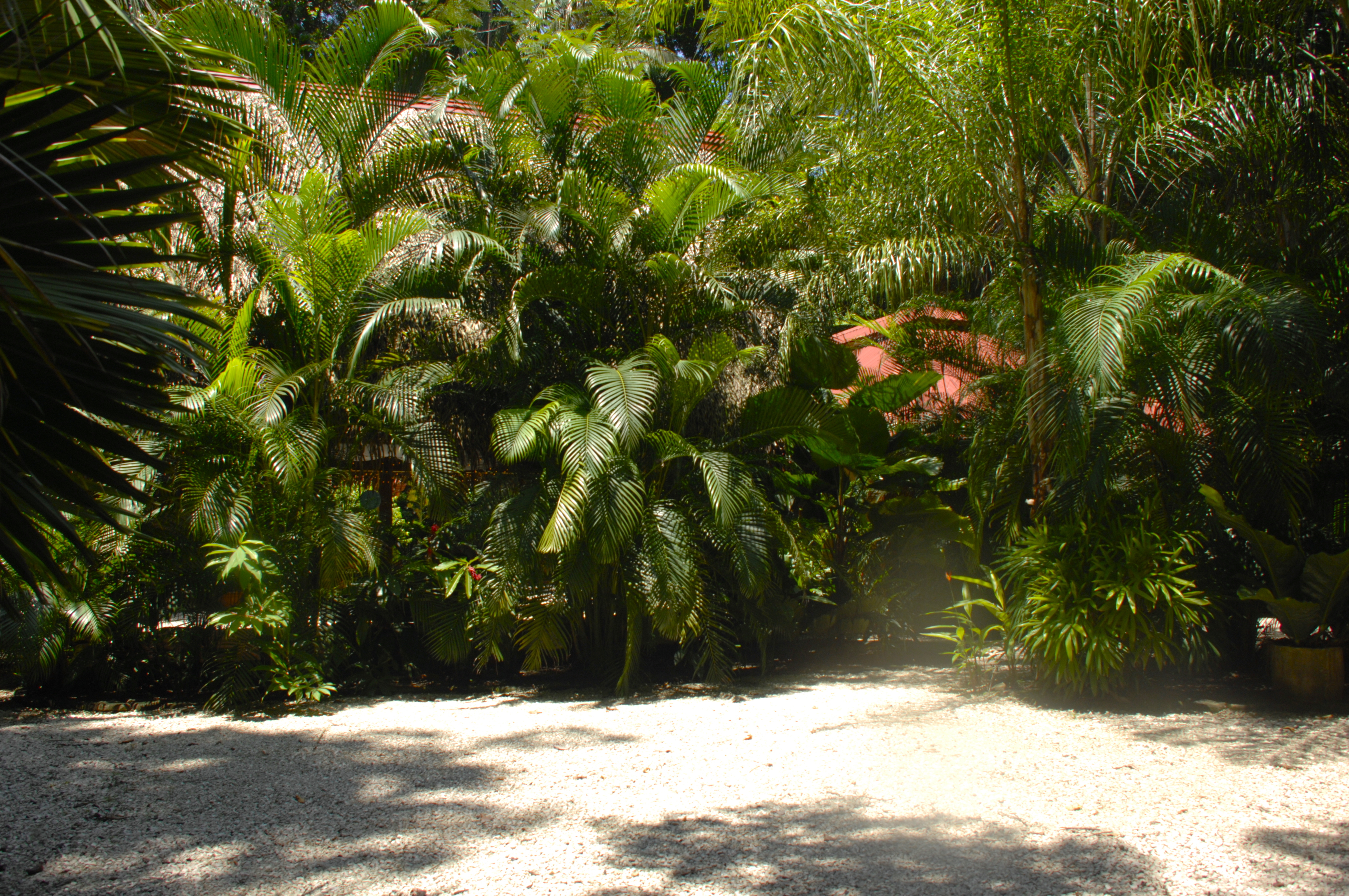 3 bed Single Family Homes For Sale in Samara, Guanacaste - thumb 16