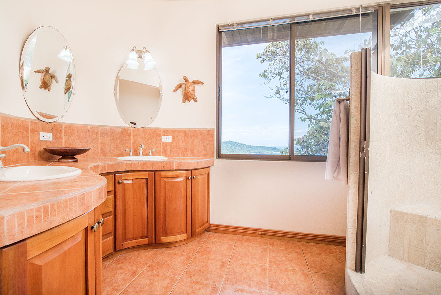 7 bed Single Family Homes For Sale in Manuel Antonio, Puntarenas - thumb 18