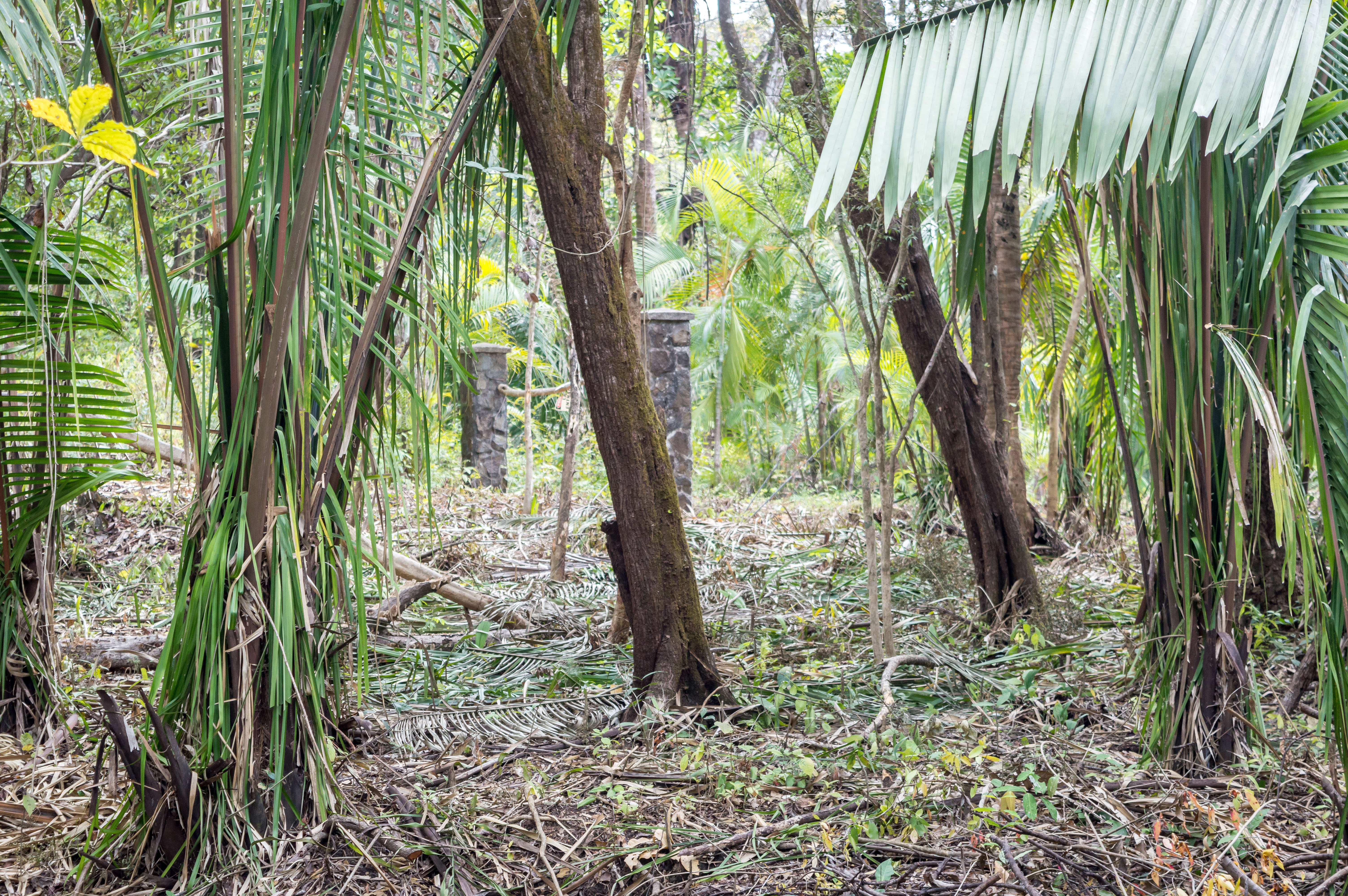 0 bed Land For Sale in Samara, Guanacaste - thumb 2