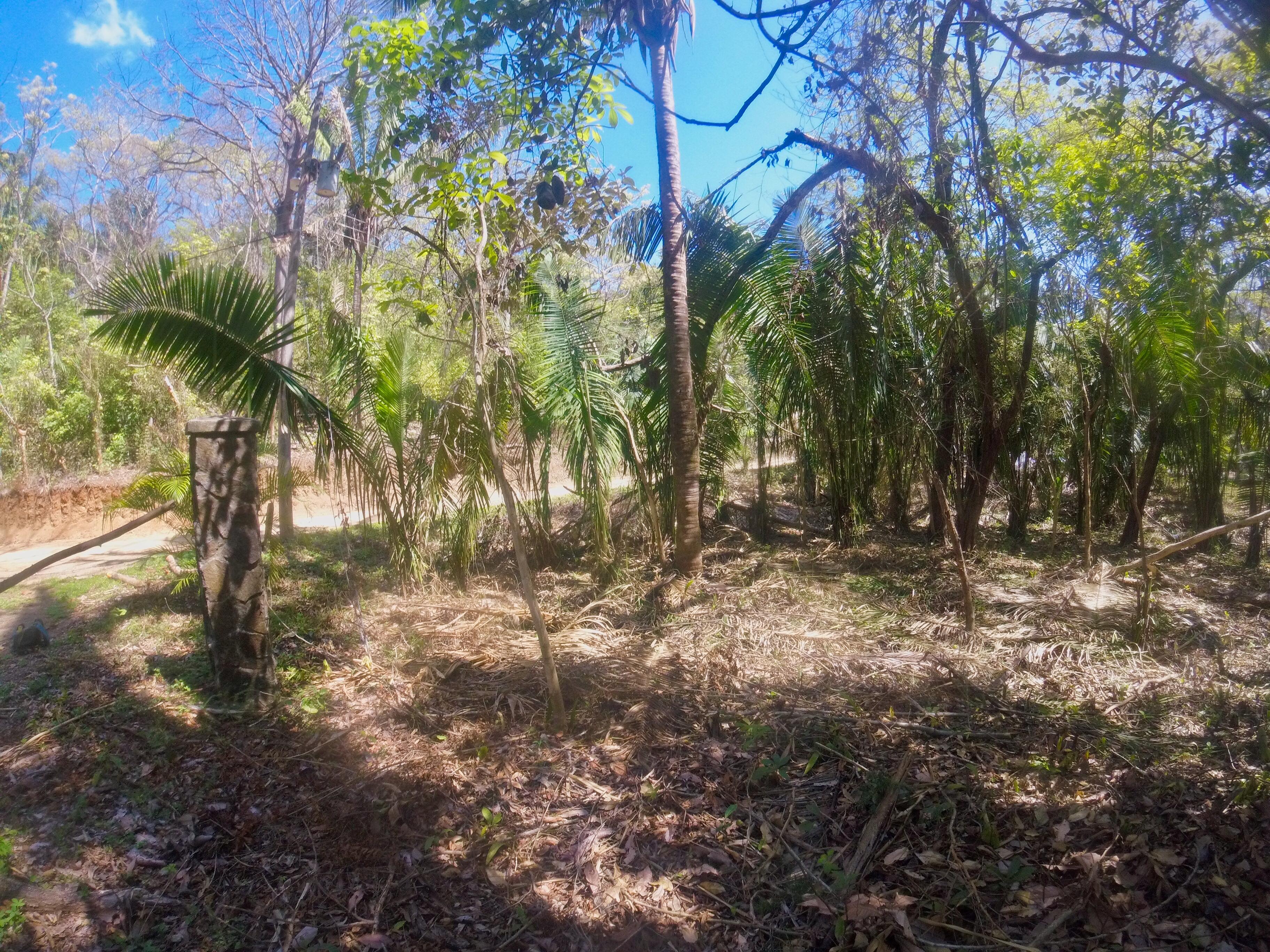 0 bed Land For Sale in Samara, Guanacaste - thumb 4