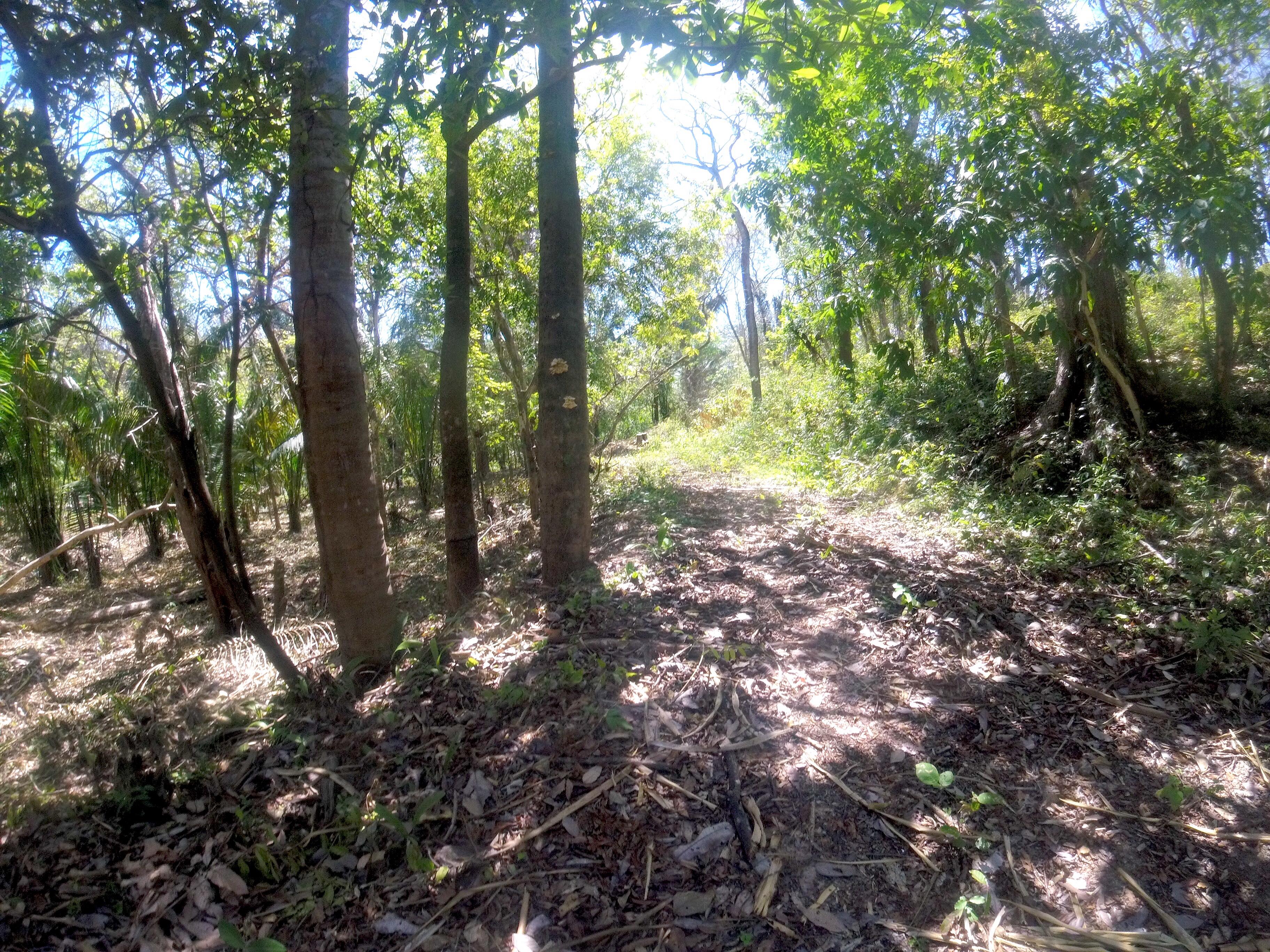 0 bed Land For Sale in Samara, Guanacaste - thumb 5