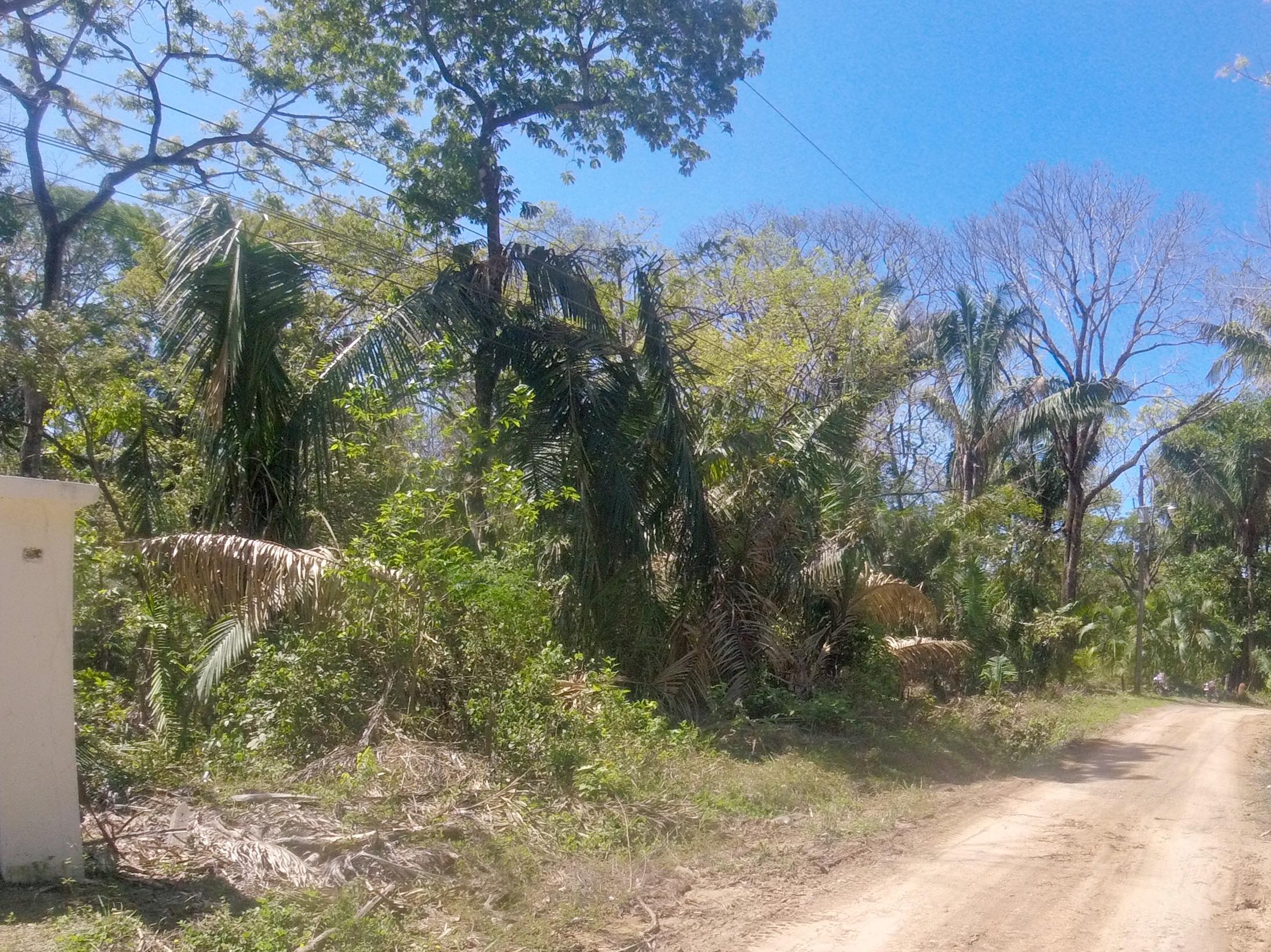 0 bed Land For Sale in Samara, Guanacaste - thumb 6