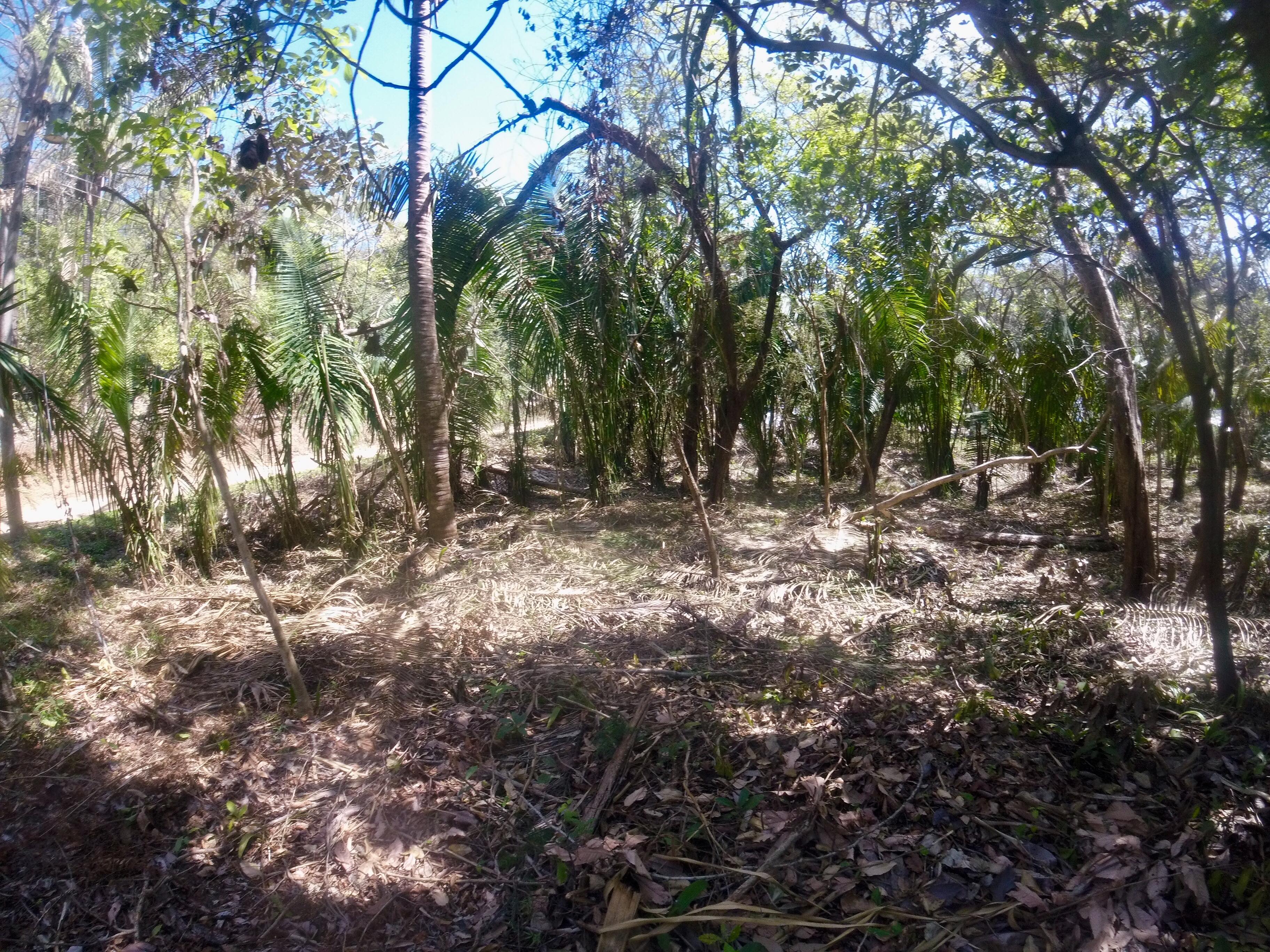0 bed Land For Sale in Samara, Guanacaste - thumb 7