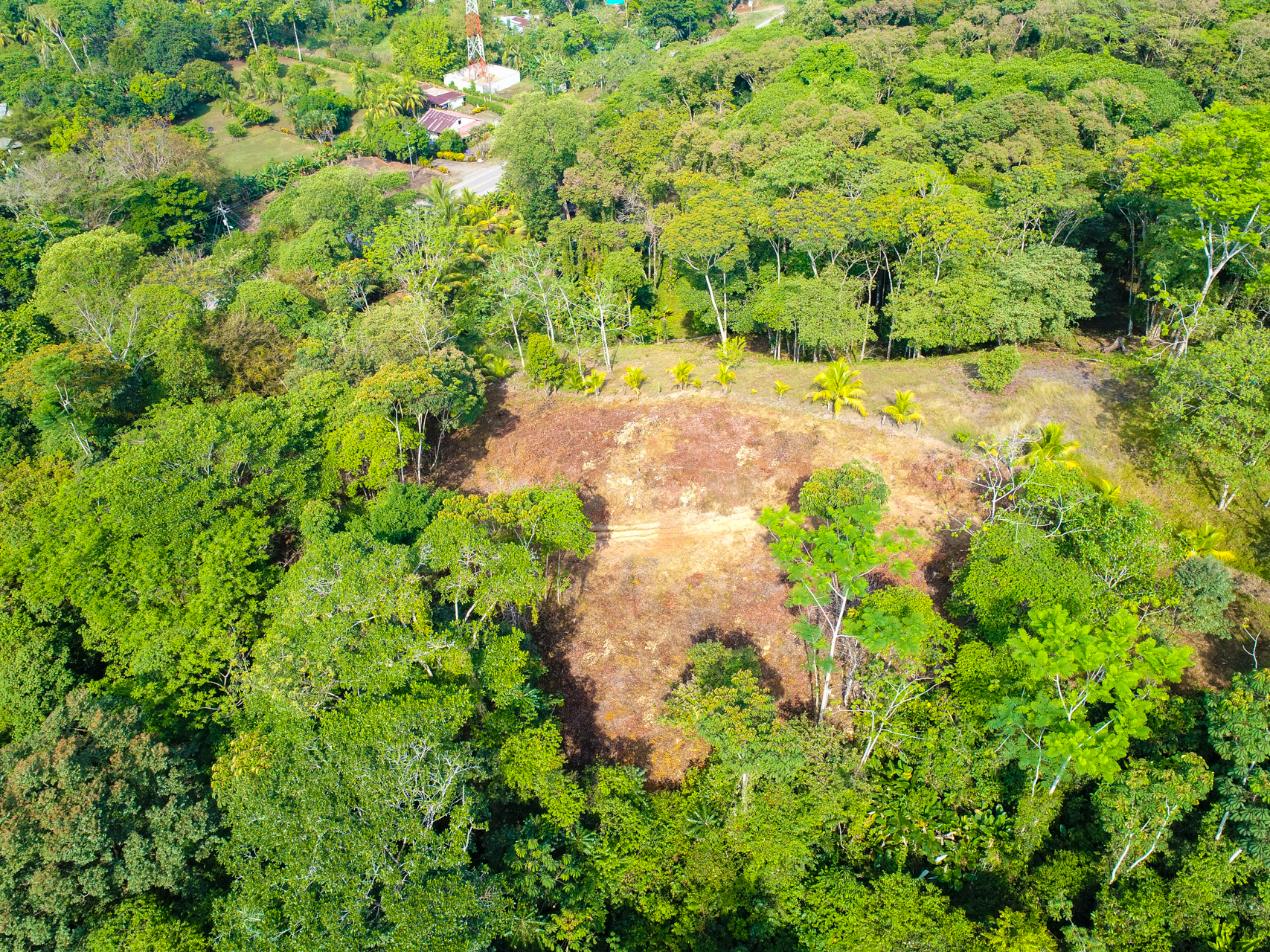 0 bed Land For Sale in Uvita, Puntarenas - thumb 6