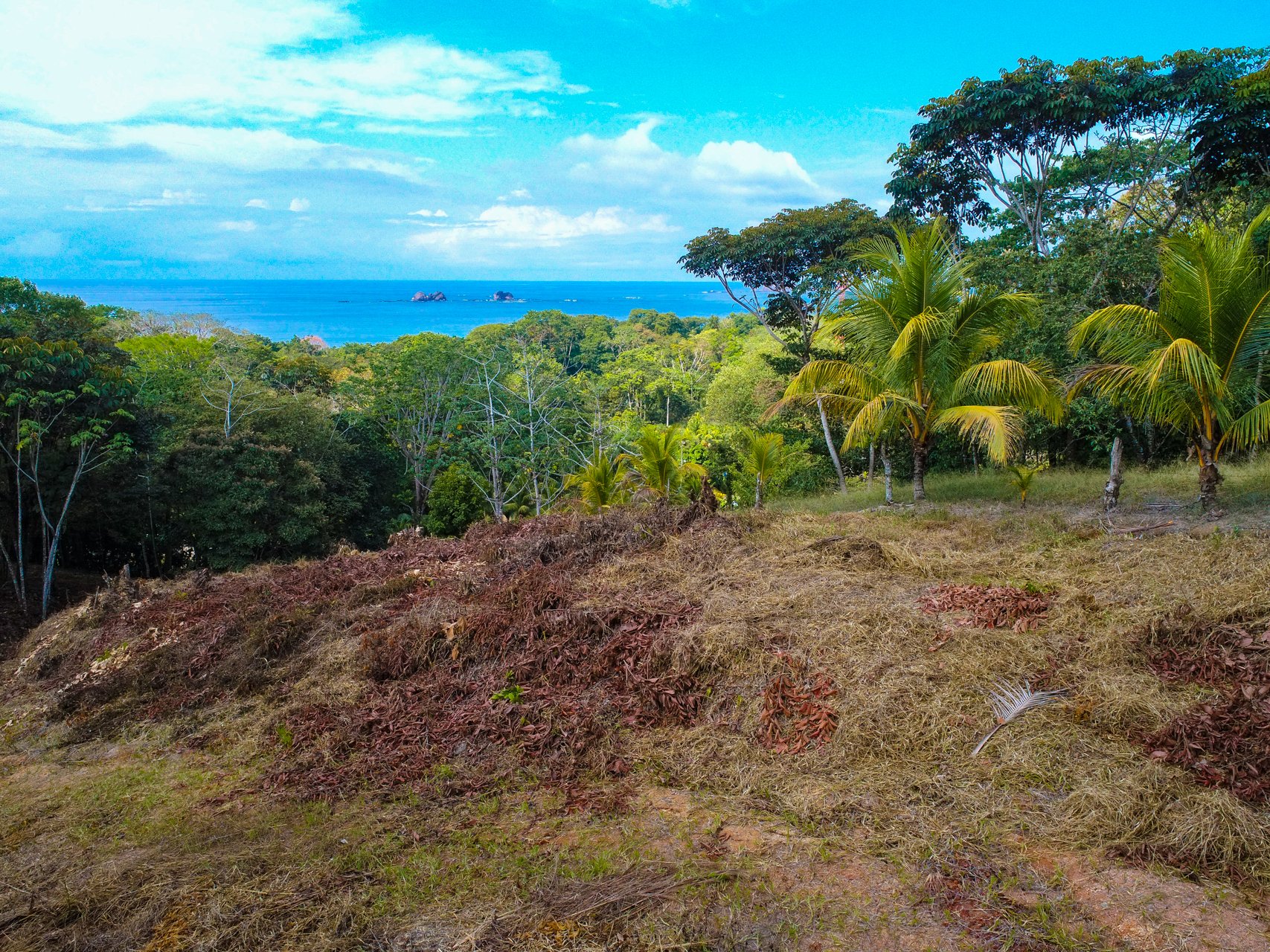 0 bed Land For Sale in Uvita, Puntarenas - thumb 9