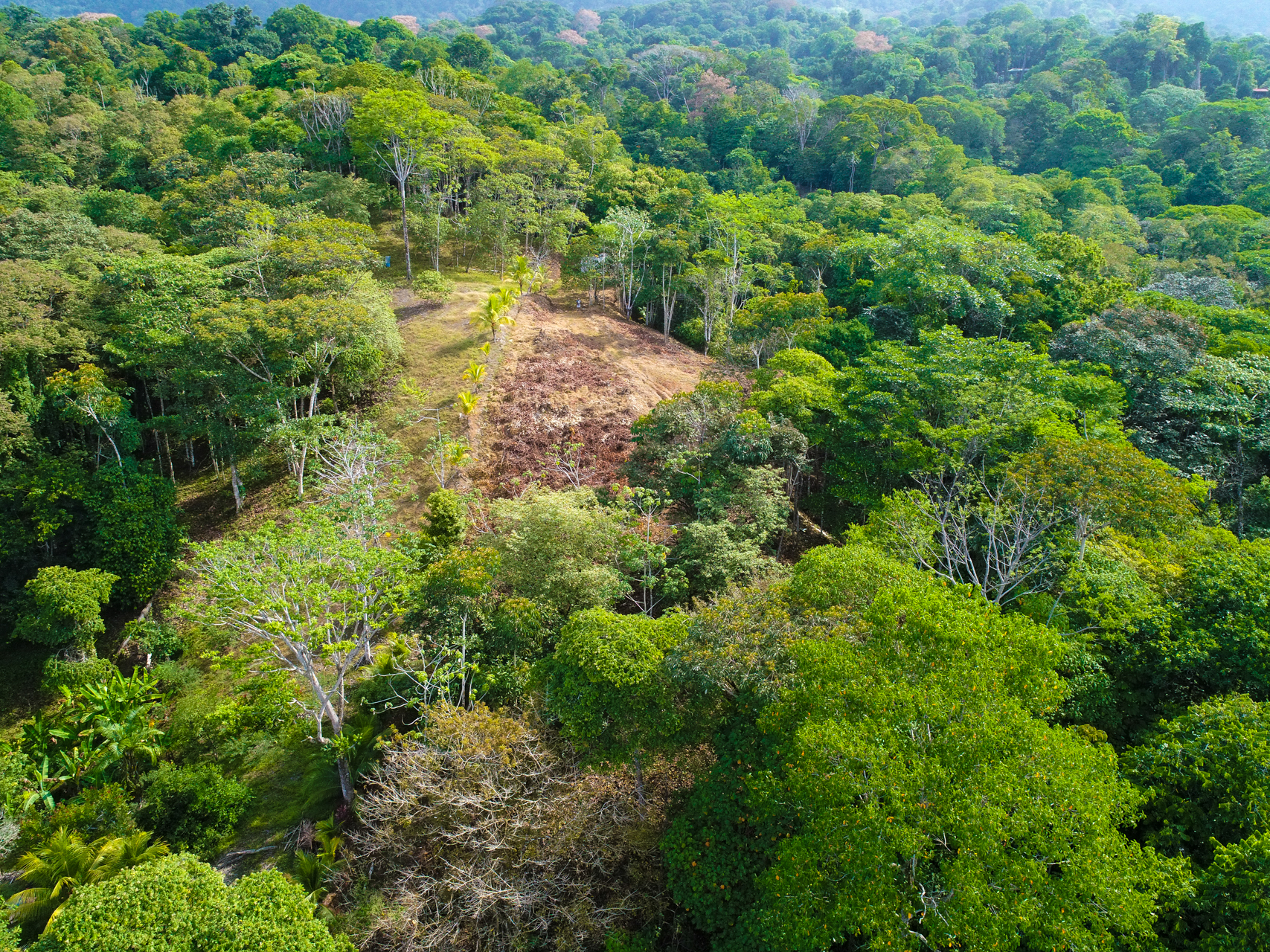 0 bed Land For Sale in Uvita, Puntarenas - thumb 5