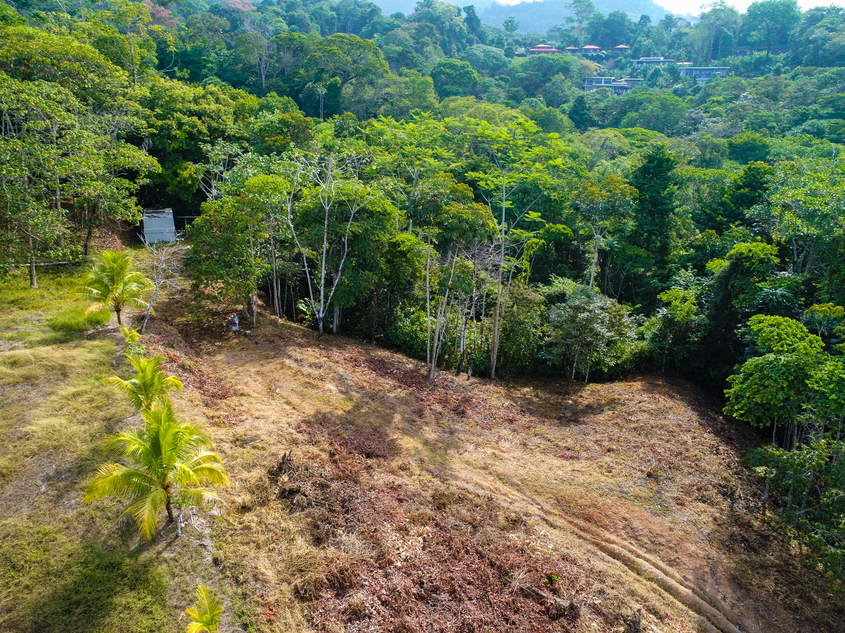 0 bed Land For Sale in Uvita, Puntarenas - thumb 4