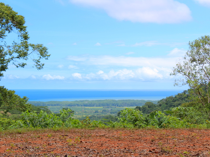 0 bed Land For Sale in Dominical, Puntarenas - 1