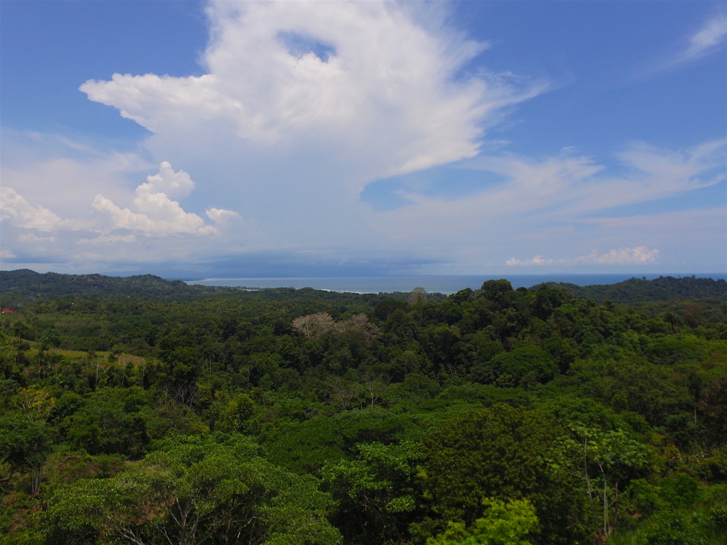 3 bed Single Family Homes For Sale in Ojochal, Puntarenas - thumb 7