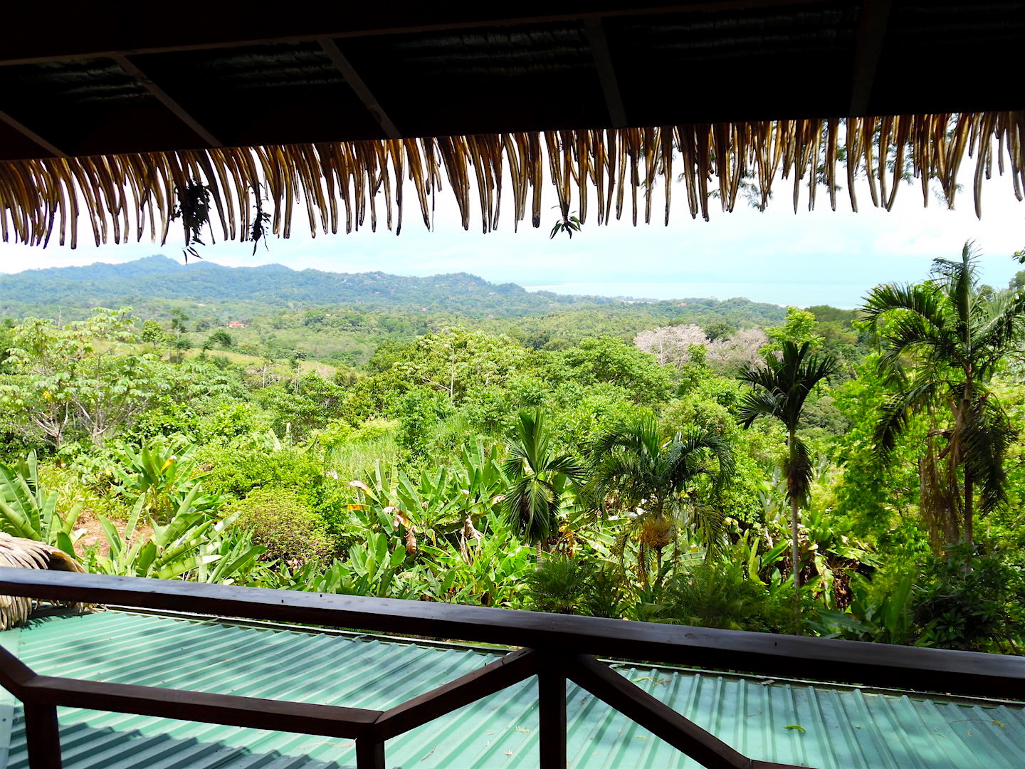 3 bed Single Family Homes For Sale in Ojochal, Puntarenas - thumb 11